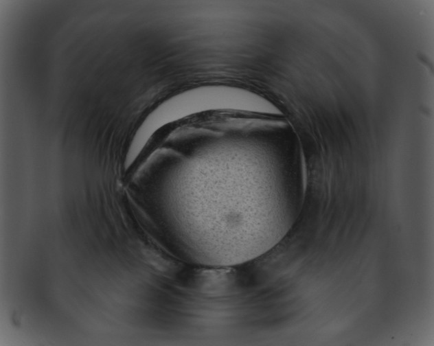 X0000093140089200710171338