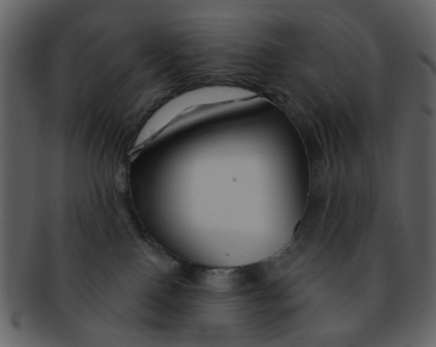 X0000093140090200710171338