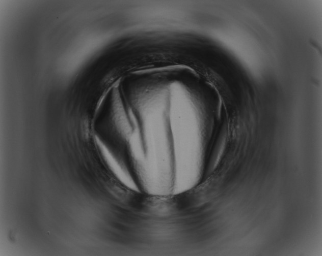 X0000093140093200710171338