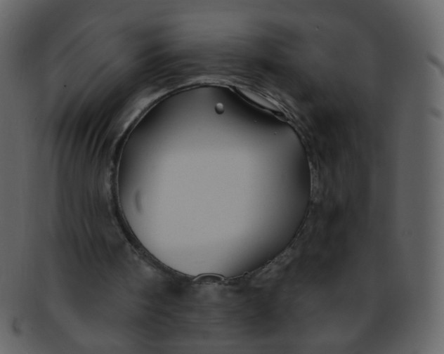 X0000093140098200710171338