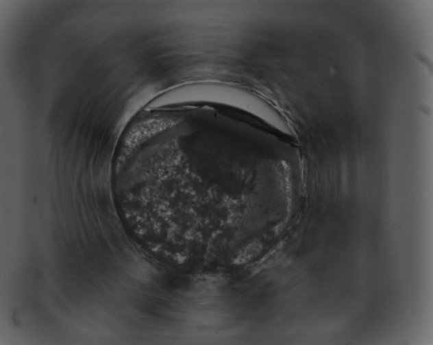 X0000093140099200710171338