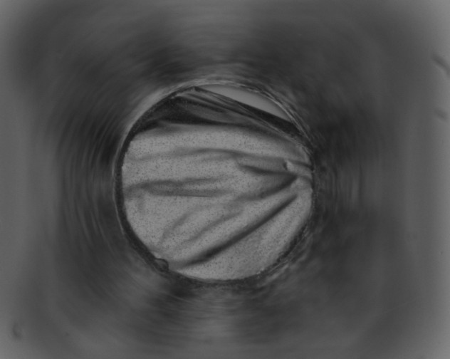 X0000093140100200710171338