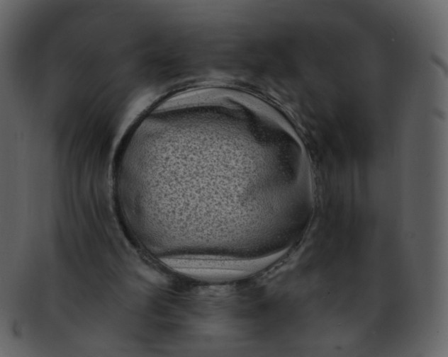 X0000093140102200710171338