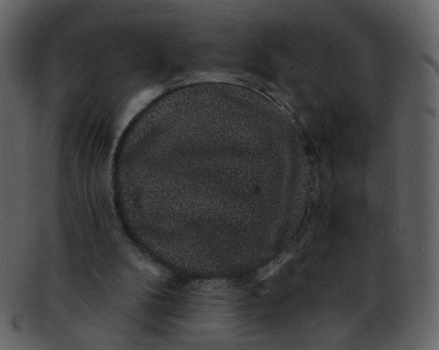 X0000093140104200710171338