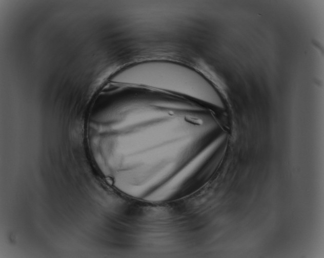 X0000093140107200710171337