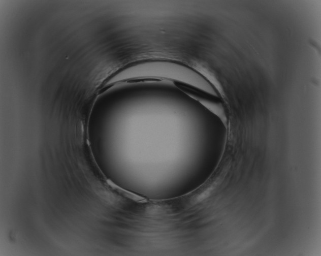 X0000093140109200710171337