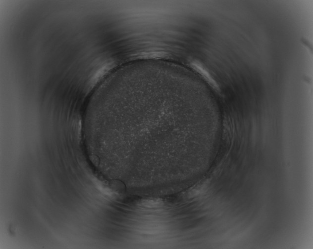 X0000093140110200710171337