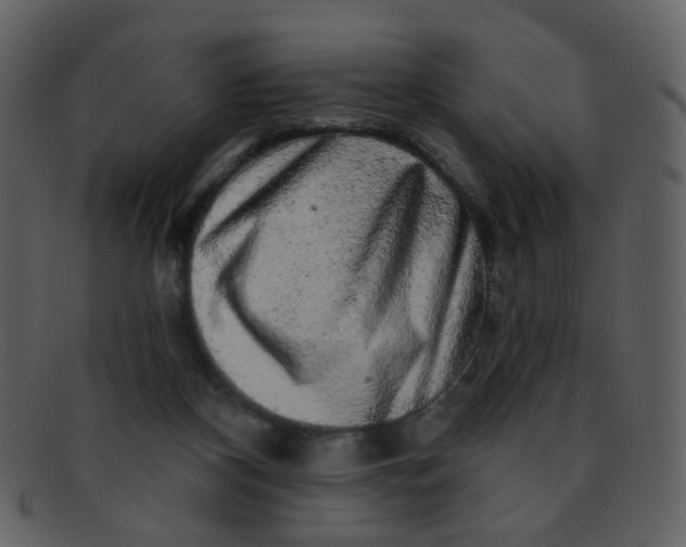 X0000093140116200710171337