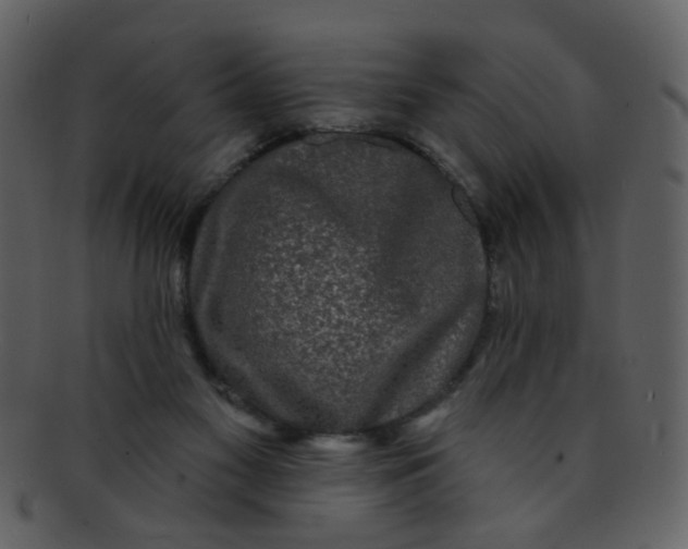 X0000093140117200710171337