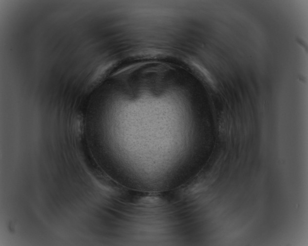 X0000093140119200710171337