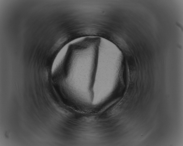 X0000093140120200710171337