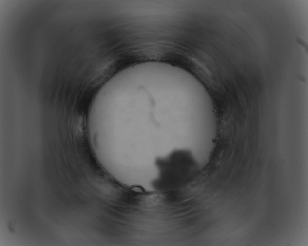 X0000093140122200710171337