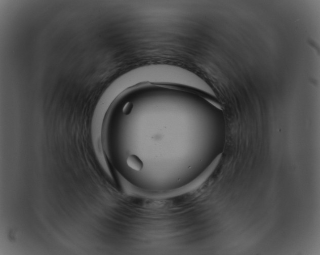 X0000093140129200710171337