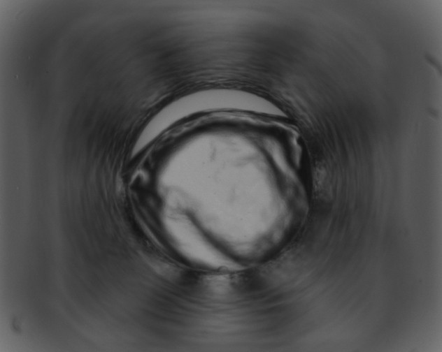 X0000093140131200710171337