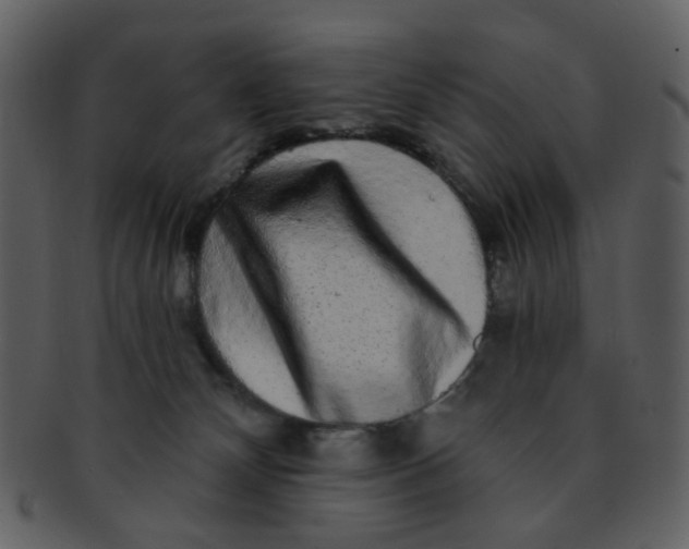 X0000093140132200710171337