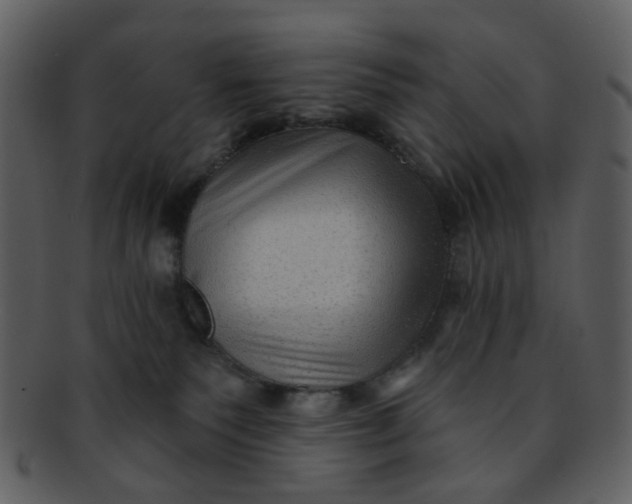 X0000093140135200710171337