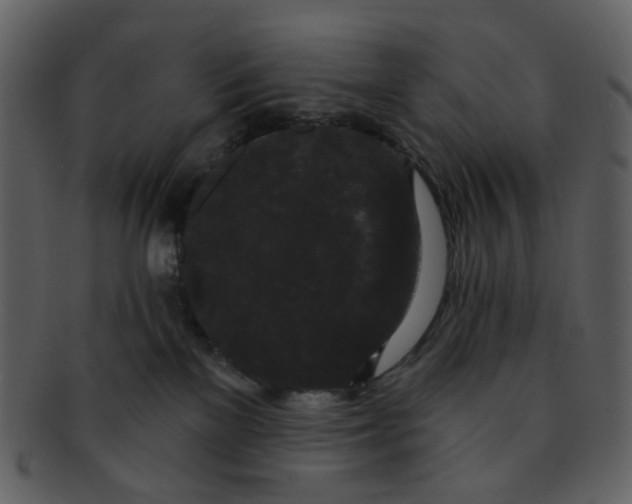 X0000093140137200710171337