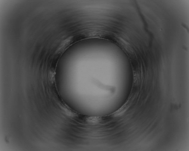 X0000093140142200710171337