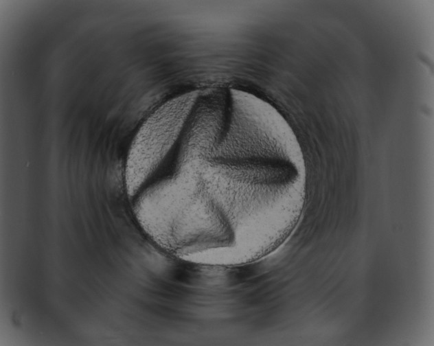 X0000093140144200710171337