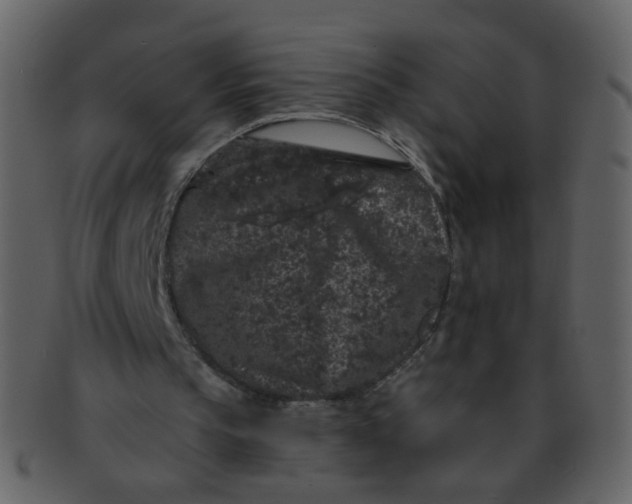 X0000093140145200710171336