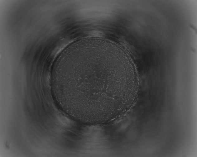 X0000093140146200710171336