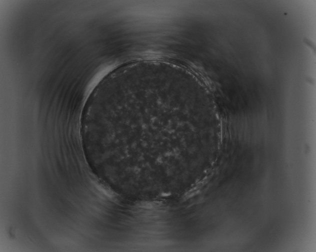 X0000093140147200710171336