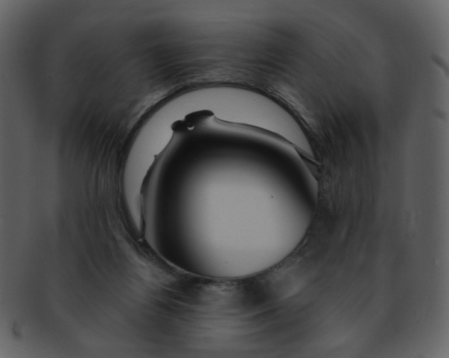 X0000093140164200710171336