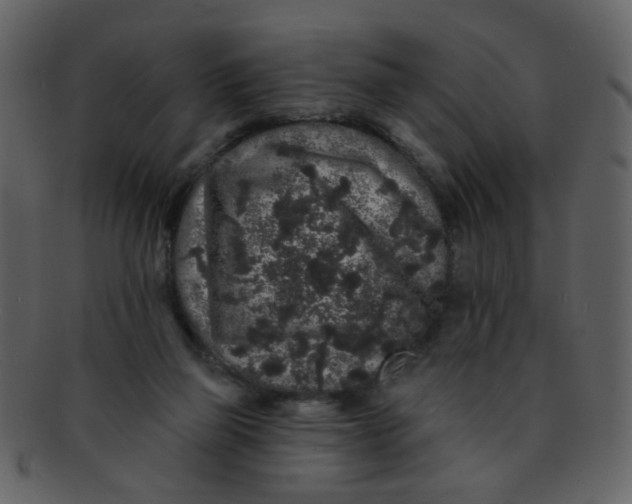 X0000093140165200710171336