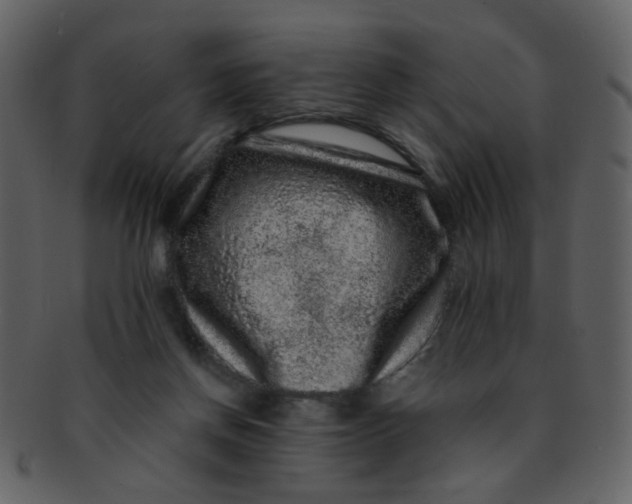 X0000093140166200710171336