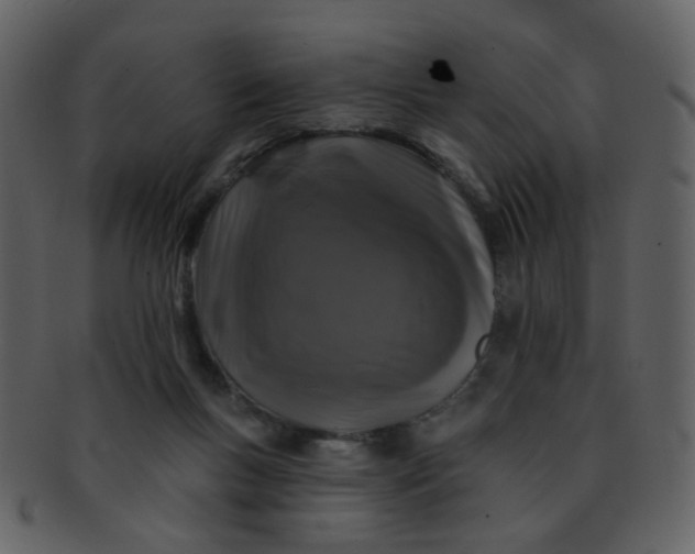 X0000093140167200710171336