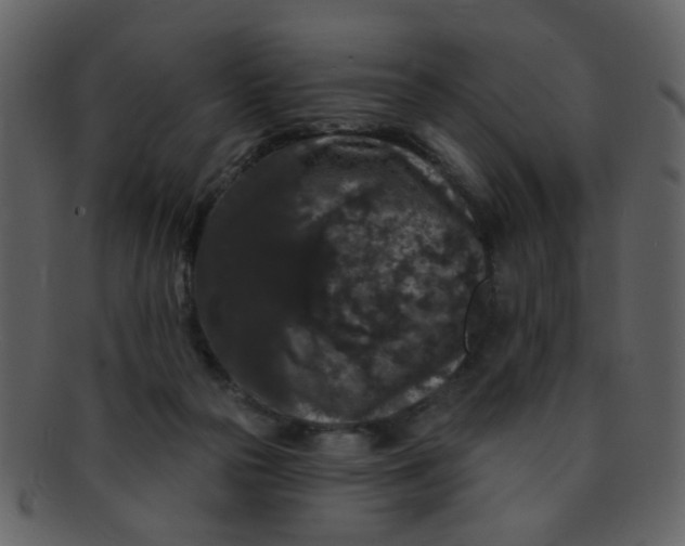 X0000093140169200710171336