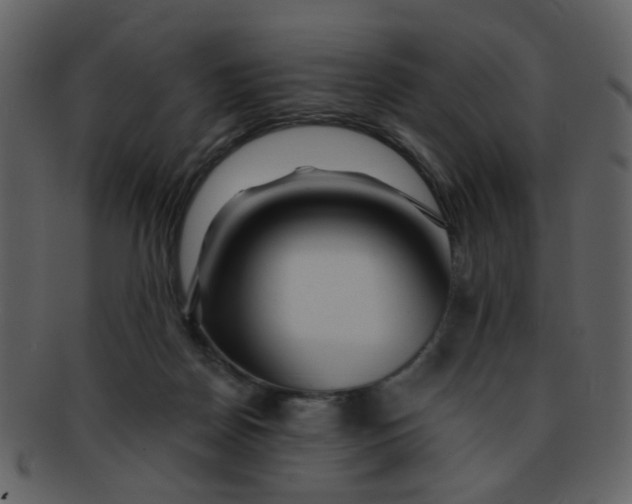 X0000093140170200710171336