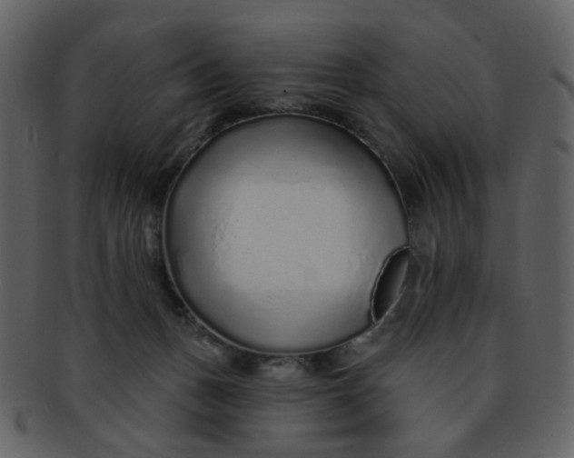 X0000093140175200710171337