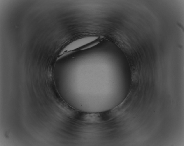 X0000093140179200710171337