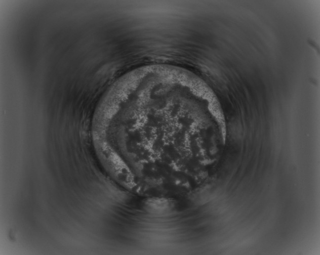 X0000093140181200710171337