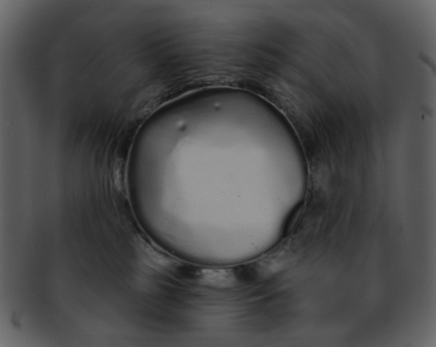 X0000093140185200710171337