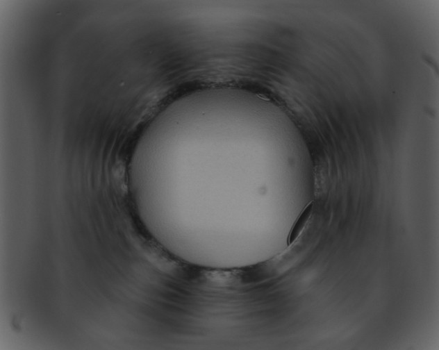 X0000093140187200710171337