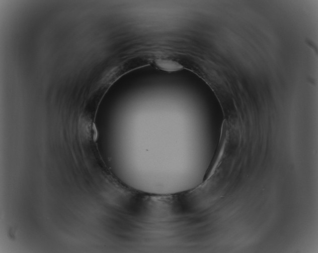 X0000093140188200710171337