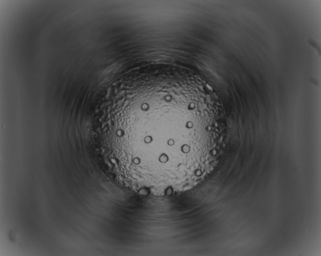 X0000093140189200710171337