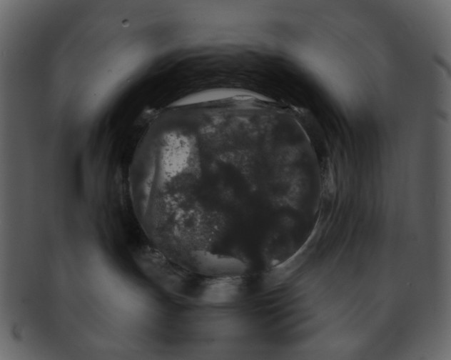 X0000093140191200710171337