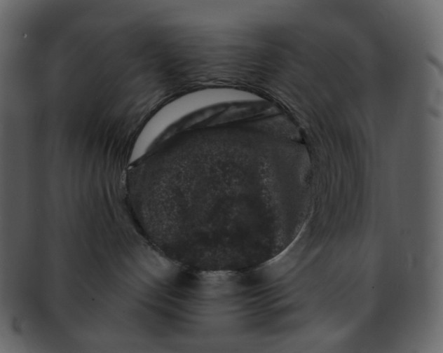 X0000093140192200710171337