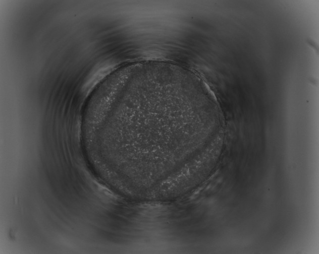 X0000093140194200710171336