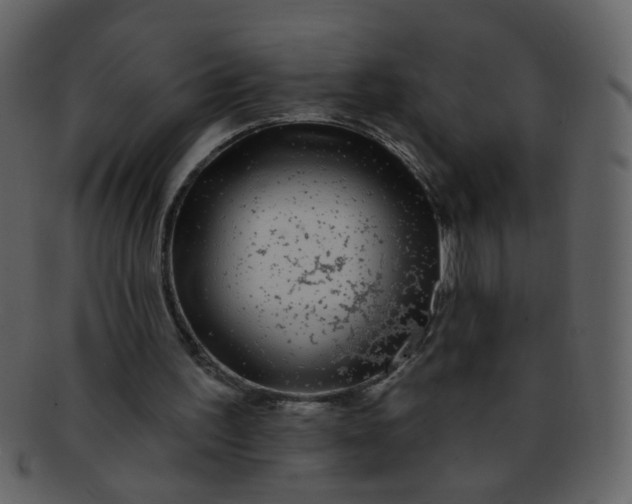 X0000093140195200710171336