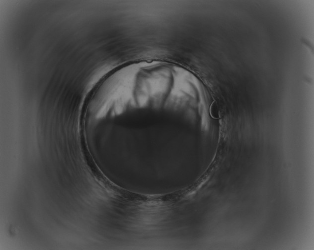 X0000093140196200710171336