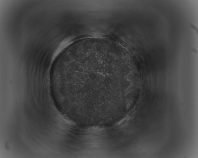 X0000093140198200710171336