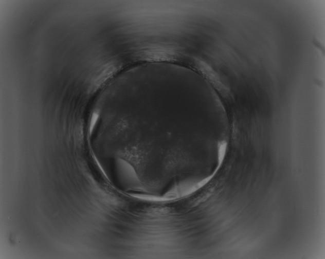 X0000093140202200710171336