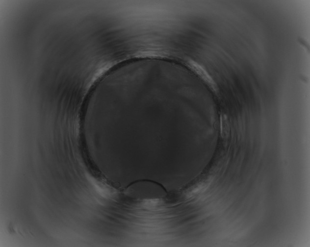 X0000093140204200710171336