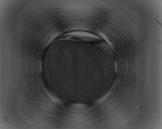 X0000093140205200710171336