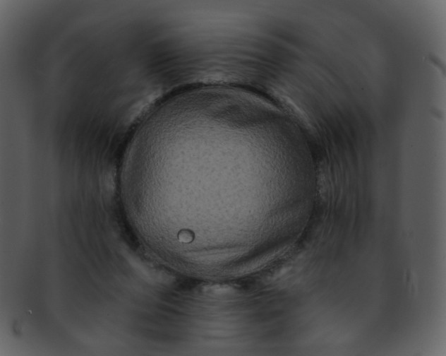 X0000093140208200710171336