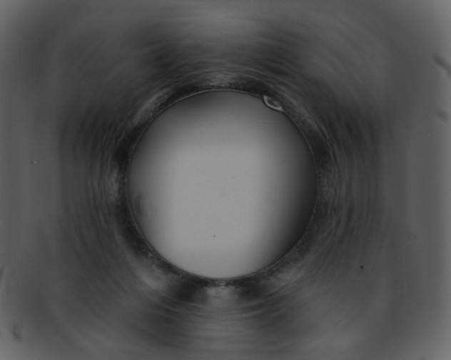 X0000093140216200710171336